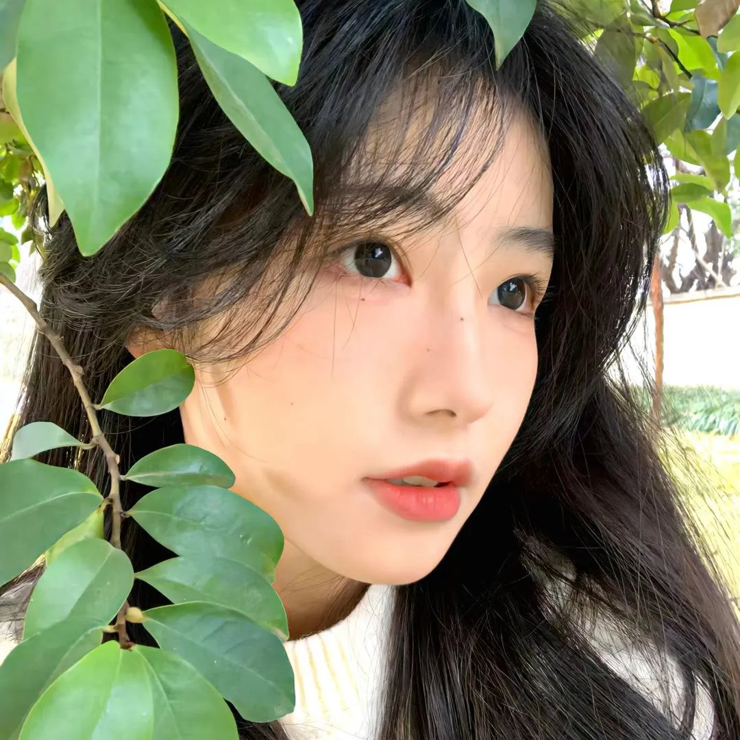 森林深处